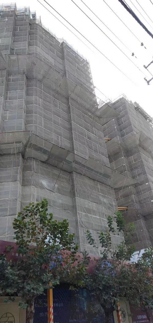 建筑建材企業(yè)商情 洞察市場(chǎng)脈搏，把握發(fā)展機(jī)遇