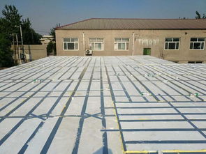 綠色轉(zhuǎn)型，智造未來(lái) 后傳統(tǒng)建材時(shí)代的建筑設(shè)備新圖景