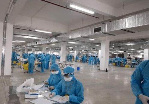 越南疫情警示 工廠聚集感染、瞞報與關聯行業的風險連鎖反應
