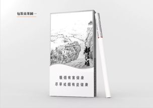 都江堰文創(chuàng)產(chǎn)品設(shè)計(jì) 文學(xué)與工程的詩意交織